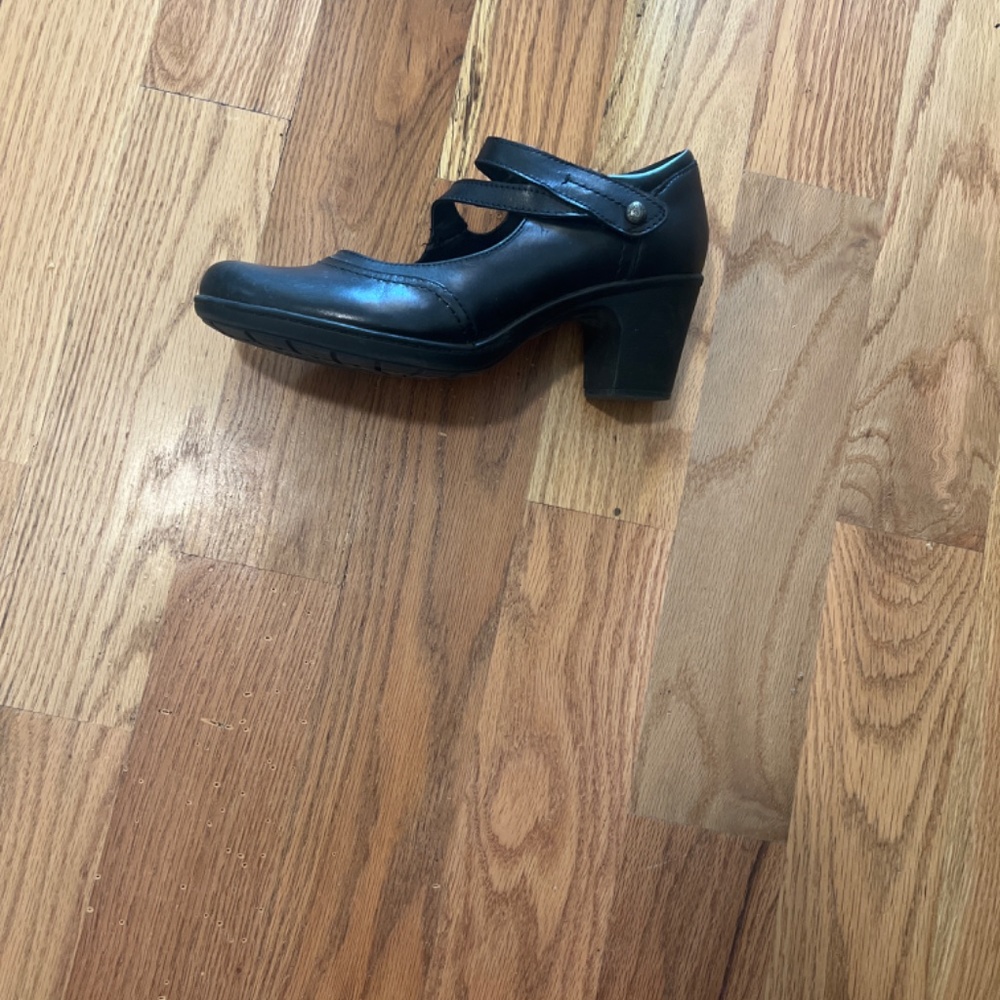 earth origins clara casey